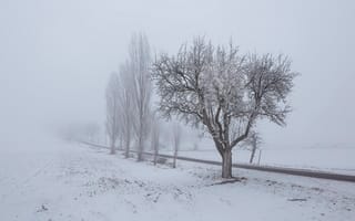 Картинка зима, туман, дорога