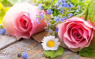 Картинка розы, лепестки, romantic, roses, pink, flowers