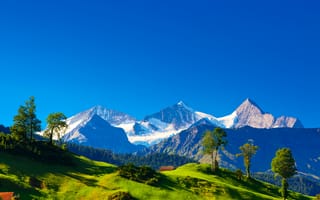 Обои Alpes, холмы, пейзаж, зелень, Швейцария, домики, трава, природа, горы, Switzerland, деревья, Альпы, Alpen
