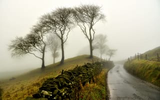 Картинка дорога, туман, забор