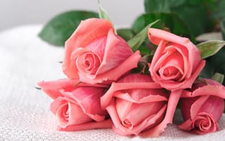 Обои бутоны, roses, букет, розы, flowers, romantic, love, pink