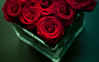 Обои цветы, стол, букет, красные, ваза, розы