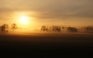 Картинка туман, закат, пейзаж, поле