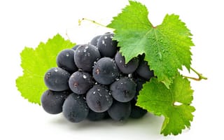 Обои белый фон, виноград, гроздь, листья, ягода, grapes