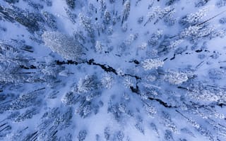 Картинка зима, деревья, снег, природа, вид сверху