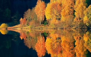 Картинка осень, отражения, деревья, лес, природа, река, краски
