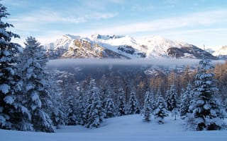 Картинка Зима, туман, снег, лес, ели, горы