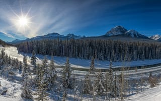 Обои зима, Альберта, Banff National Park, долина, Национальный парк Банф, Канадские Скалистые горы, Канада, лес, Canada, река, панорама, горы, Bow River, Bow Valley, река Боу, Alberta