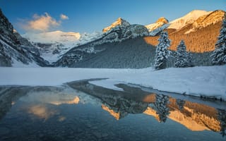 Картинка зима, лес, Lake Louise, Canada, Alberta, Banff National Park, Канадские Скалистые горы, горы, Canadian Rockies, Альберта, Национальный парк Банф, снег, ели, озеро, Канада, отражение