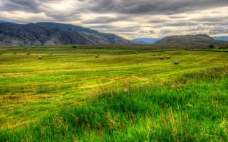 Картинка поля, трава, British, Columbia, пейзаж, Канада, природа, HDR