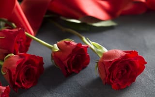 Картинка красные розы, red, romantic, love, roses, лента, valentine`s day