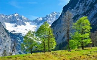 Картинка горы, зелень, природа, трава, Австрия, пейзаж, деревья, Tyrol