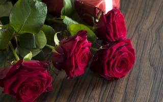 Обои red, красные розы, valentine`s day, love, gift, romantic, roses