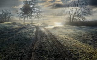 Обои дорога, свет, туман, утро