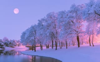 Обои зима, река, деревья, луна, природа, вечер, снег