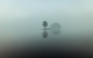 Картинка туман, минимализм, вода, дымка, дерево, озеро, утро, отражения, остров