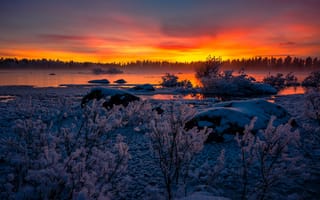 Картинка зима, снег, Лаппланд, озеро, закат, озеро Хурнаван, Швеция, Арьеплуг, Arjeplog, Lapland, Sweden, Lake Hornavan, кусты