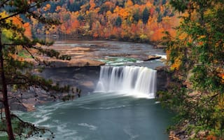 Картинка осень, деревья, США, река, природа, лес, водопад