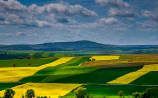 Картинка поля, Германия, Рейнланд-Пфальц, холмы