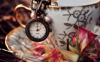 Картинка часы, лепестки, сухие, блюдце, подвеска, листья, розовый, чашка, цветок