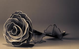 Картинка цветы, цветочек, лепестки, искусственная, роза, черно-белый