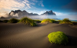Картинка Исландия, море, пляж, горы, облака, песок, мох