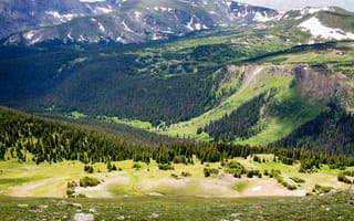 Картинка лес, трава, долина, горы, склон, деревья, Колорадо, камни