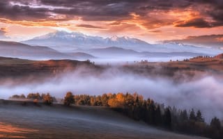 Картинка осень, утро, горы, туман, Карпаты