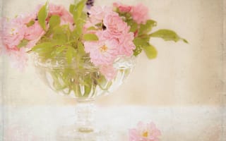 Картинка ваза, чайные, цветы, букет, розовые, розы