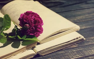 Картинка роза, vintage, book, flowers, beautiful, wood, purple