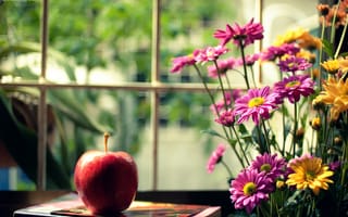 Картинка настроения, цветочки, цветы, желтый, красное, яблоко, книга, окно, размытие, розовый