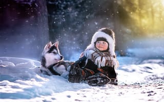 Обои мальчик, ребенок, щенок, свет, хаски, собака, зима
