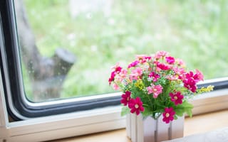 Картинка окно, цветы, розовые, подоконник, вазон