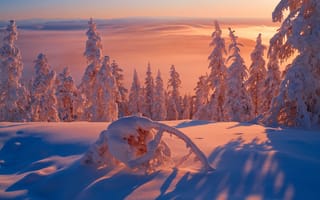 Картинка зима, Республика Саха, Сибирь, Якутия, мороз, минус 57, снег, свет, холодно