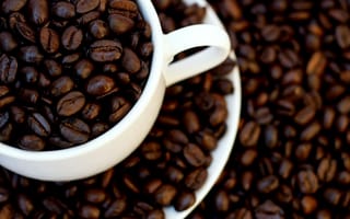 Картинка макро, coffee, cup, коричневый, brown, зерна, кофе, белый, white, чашка