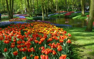 Картинка Весна, Тюльпаны, Пруд, Flowering, Spring, Colors, Ботанический сад, Pond, Lisse, Кёкенхоф, Botanical Garden, Netherlands, Нидерланды, Лиссе, Tulips, Цветение