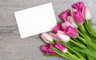 Картинка тюльпаны, розовые, tulips, pink, wood, flowers