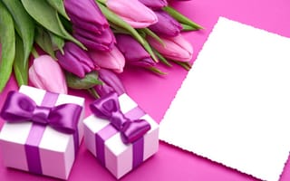 Картинка букет, tulips, romantic, pink, fresh, тюльпаны, gift, love, бант, flowers, purple
