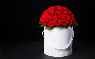 Картинка цветы, красный, розы, flowers, букет, romantic, red, box
