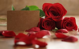 Картинка букет, красные розы, roses, gift, romantic, лепестки, red