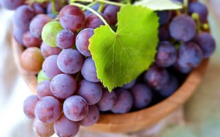Картинка грозди, ягоды, виноград, макро, листья, зеленые