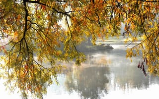 Картинка парк, ветви, осень, озеро, деревья