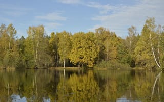 Картинка Природа, Отражение, Осень, Деревья, Россия, Озеро, Fall, Nature