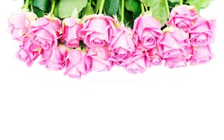 Картинка розы, букет, roses, flowers, розовые розы, pink