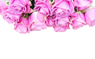 Обои розы, букет, pink, roses, розовые розы, flowers