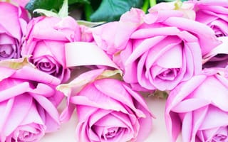Картинка розы, букет, розовые розы, pink, flowers, roses