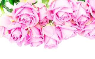 Картинка розы, букет, roses, розовые розы, pink, flowers