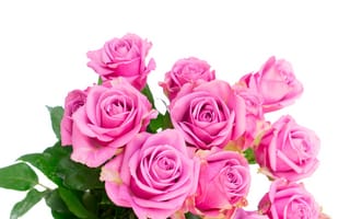 Обои розы, розовые розы, букет, pink, roses, flowers