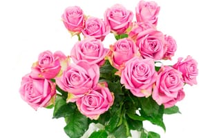 Обои розы, розовые розы, pink, букет, flowers, roses