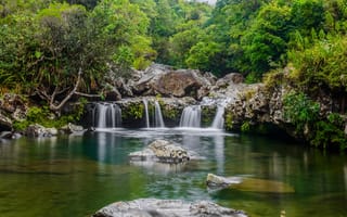 Картинка зелень, лес, камни, Reunion, ручей, деревья, Франция, водопад